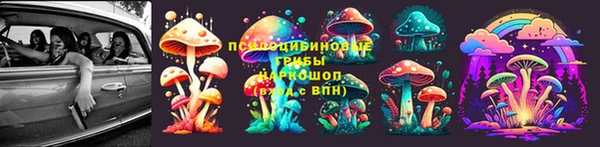 винт Алексеевка